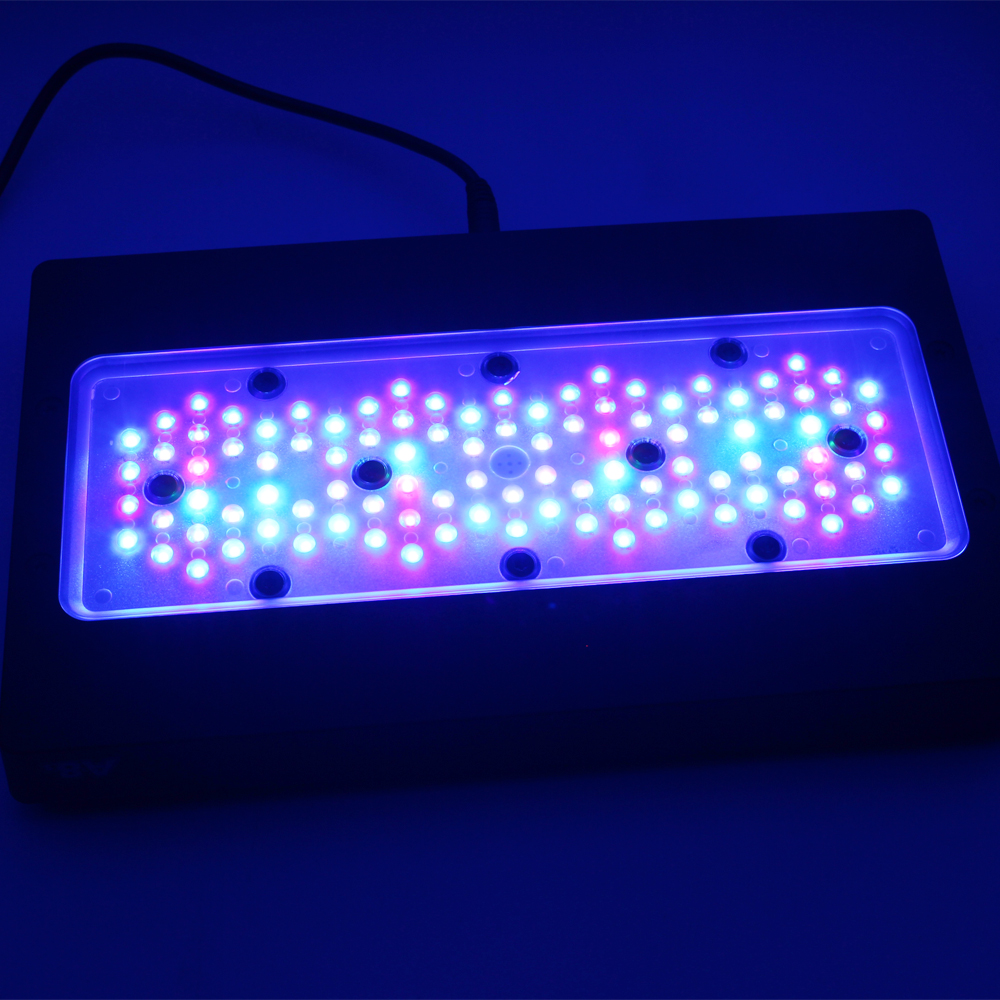 Aquarium Marine Blue - A8SE pro II MAX Blue 240W
