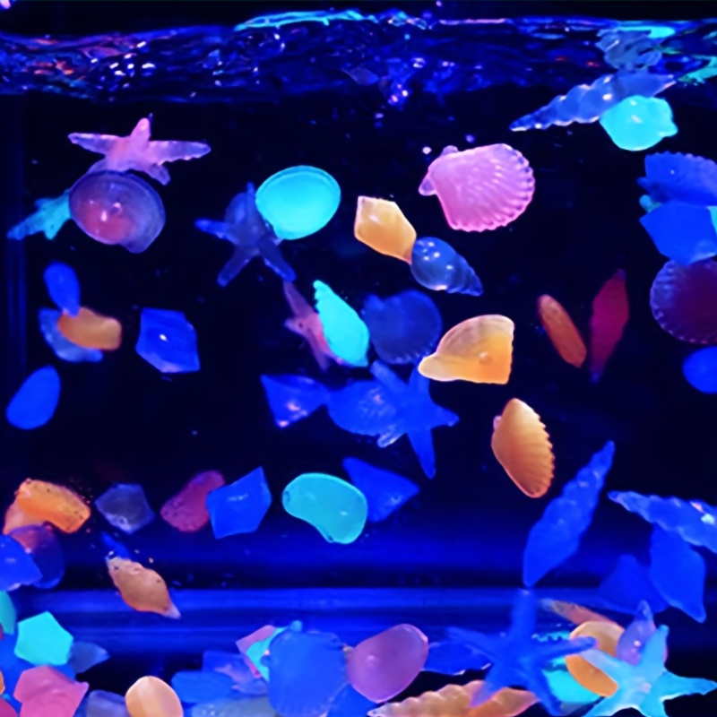 100PCS Marine Luminous Stones, - Aquarium Marine Color avis et prix