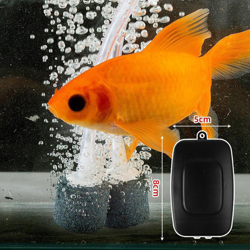 Mini Aquarium Air Pump Kit Oxy - Marine Aquarium Kit avis et prix