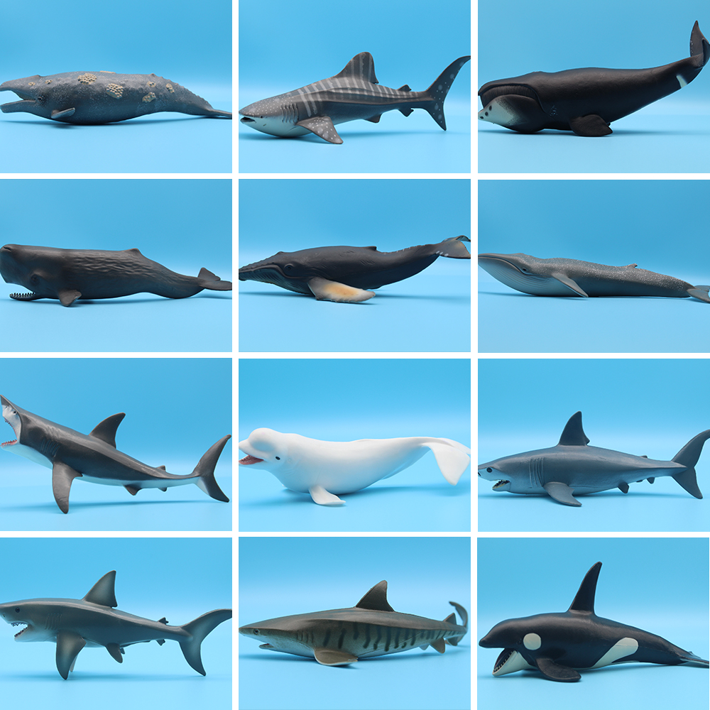 Ocean Sea Life Simulation Kill - Aquarium Marine Blue avis et prix