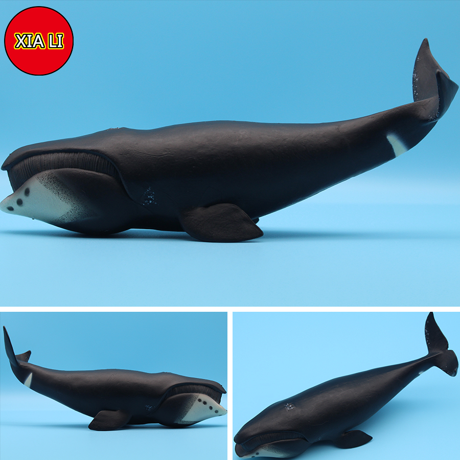Ocean Sea Life Simulation Kill - Aquarium Marine Blue avis et prix