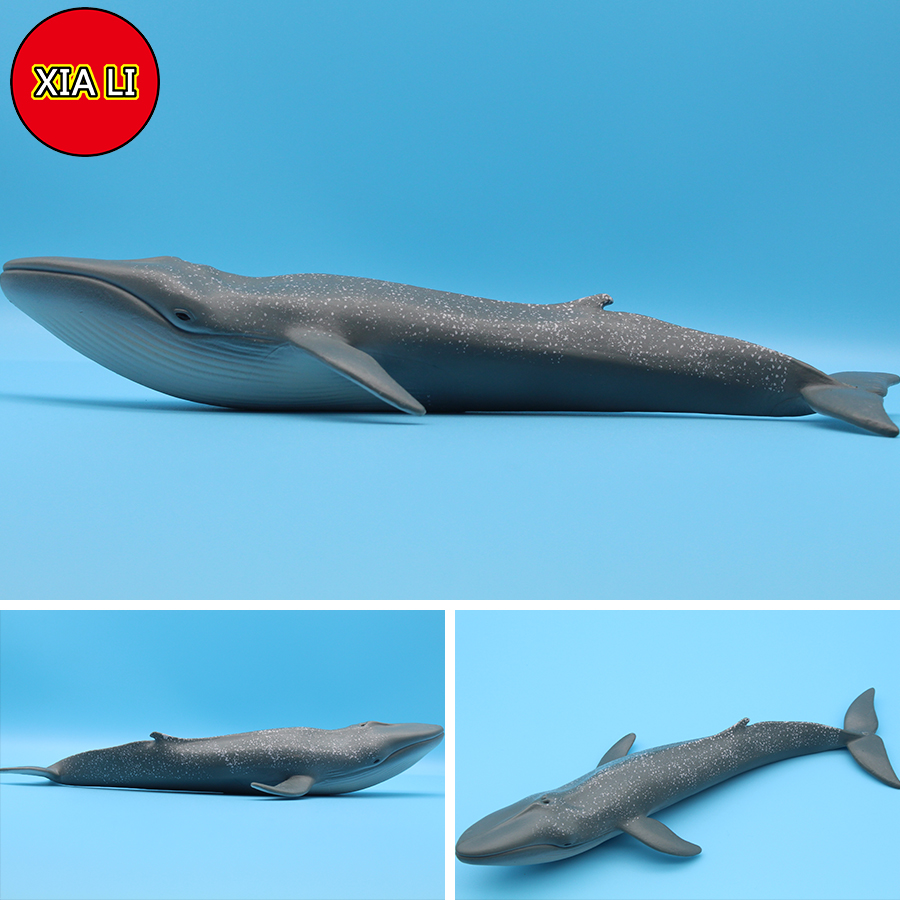 Ocean Sea Life Simulation Kill - Aquarium Marine Blue avis et prix
