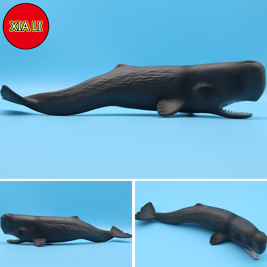 Ocean Sea Life Simulation Kill - Aquarium Marine Blue avis et prix