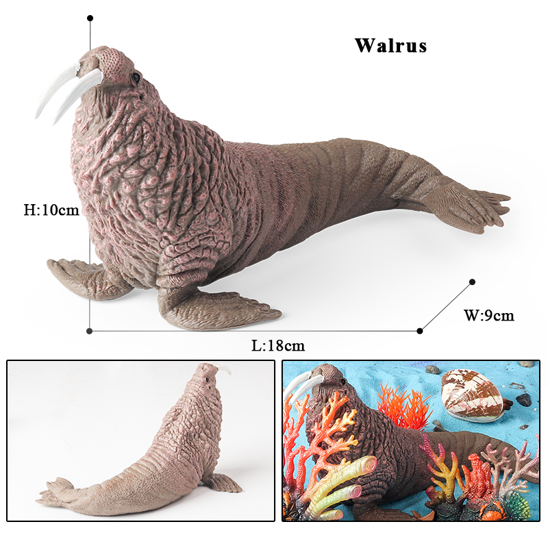 Oenux New Sea Life Seal Sea Li - Aquarium Marine Blue avis et prix