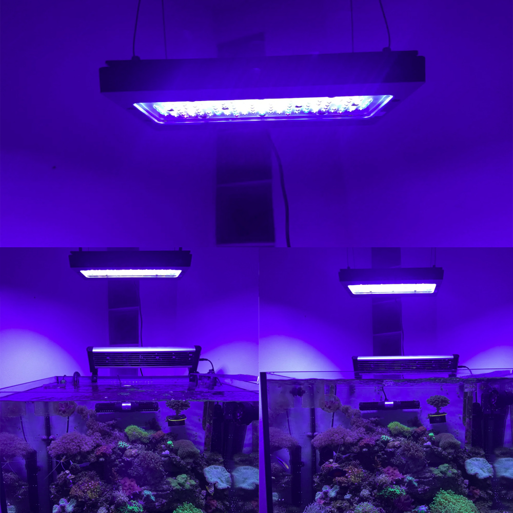 A8SE pro II MAX Blue 240W Mari - Aquarium Marine Blue avis et prix