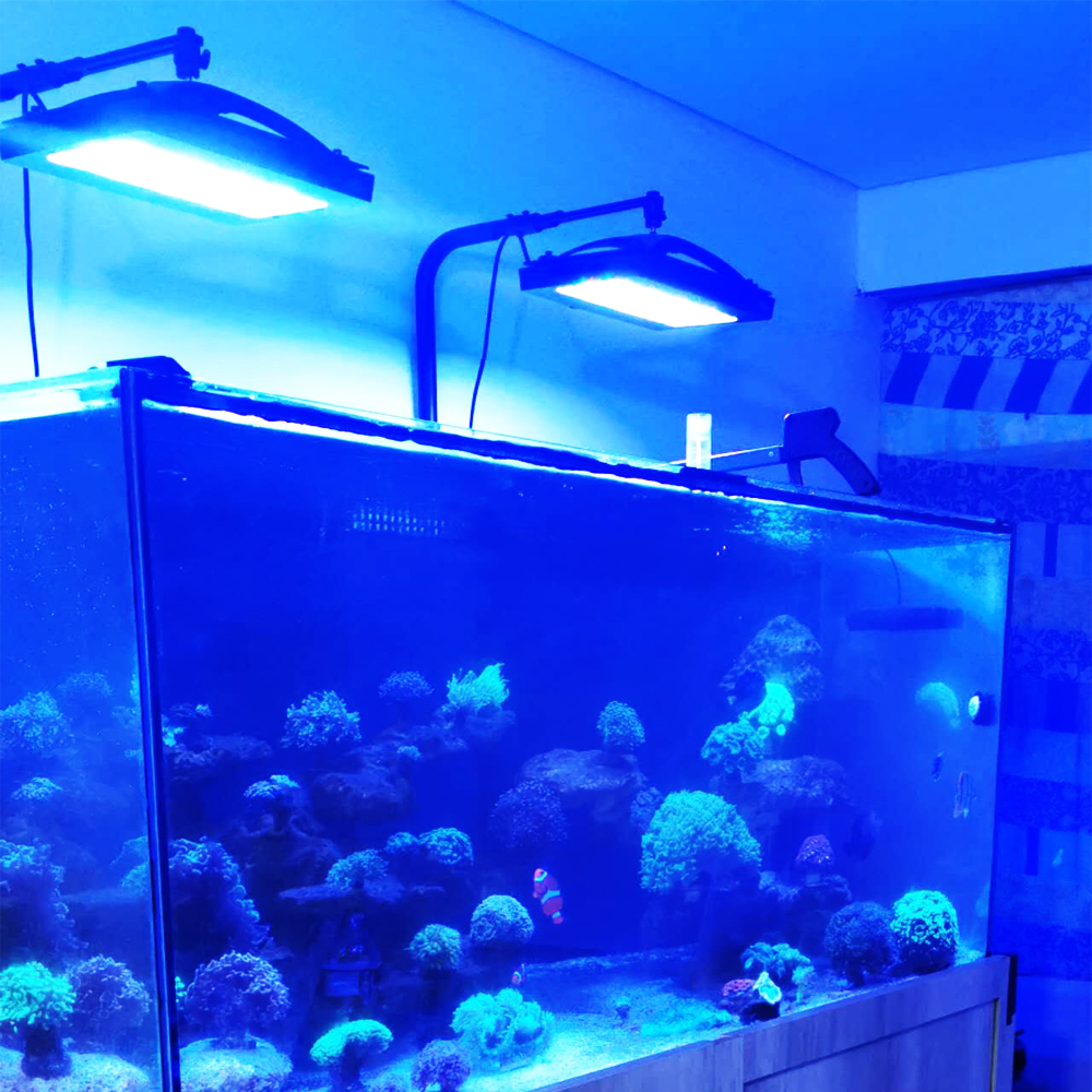 A8SE pro II MAX Blue 240W Mari - Aquarium Marine Blue avis et prix