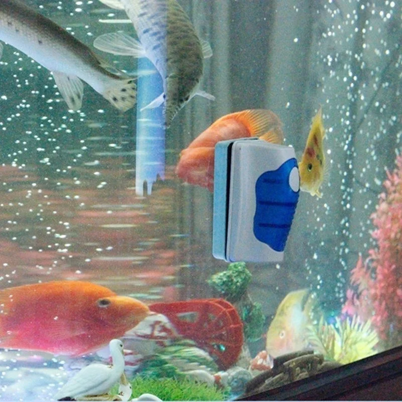 Fish Tank Glass Scraper Cleane - Marine Aquarium Glass Cleaner avis et prix