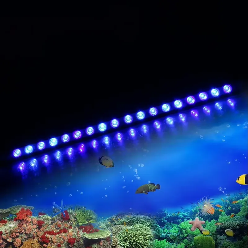 Dimmable Timing LED Aquarium L - Marine Aquarium Timing avis et prix