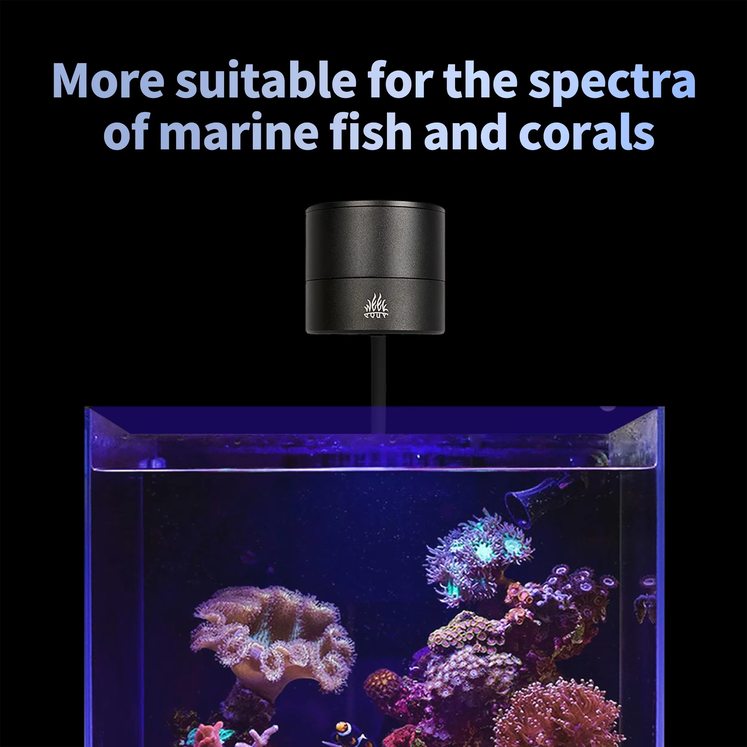 WEEK AQUA Aquarium Light Manuf - Aquarium Marine Blue avis et prix