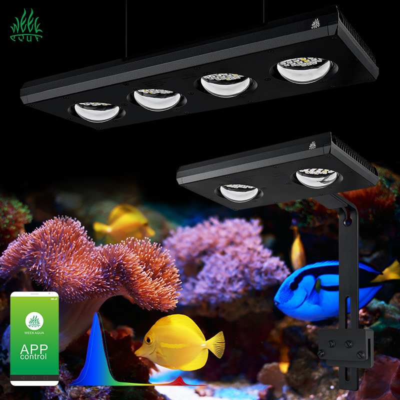 ZXY Hot Sale WEEKAQUA Z250 Z40 - Aquarium Marine Blue avis et prix