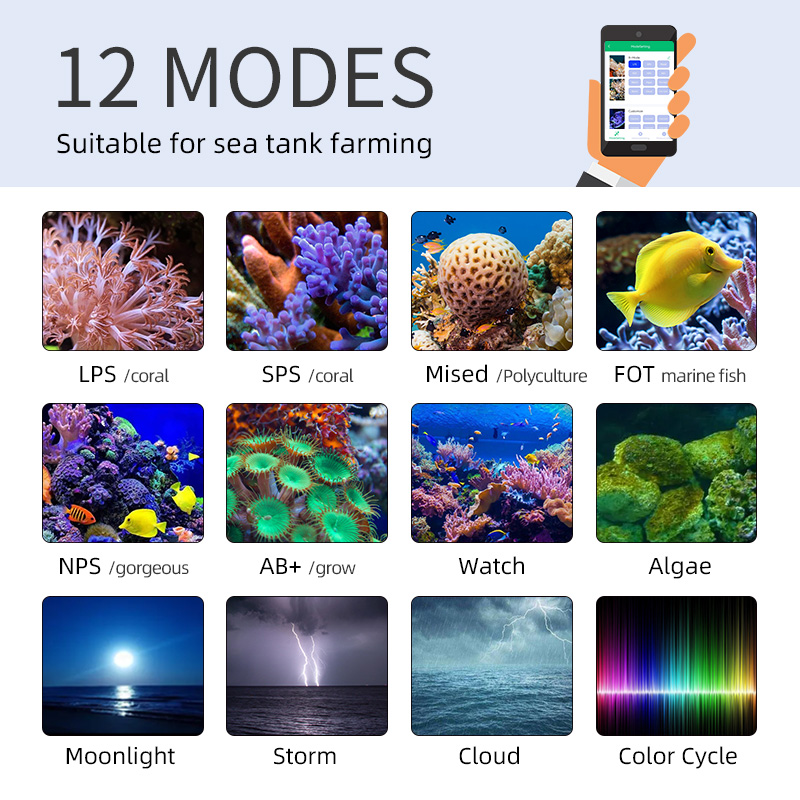 ZXY Hot Sale WEEKAQUA Z250 Z40 - Aquarium Marine Blue avis et prix