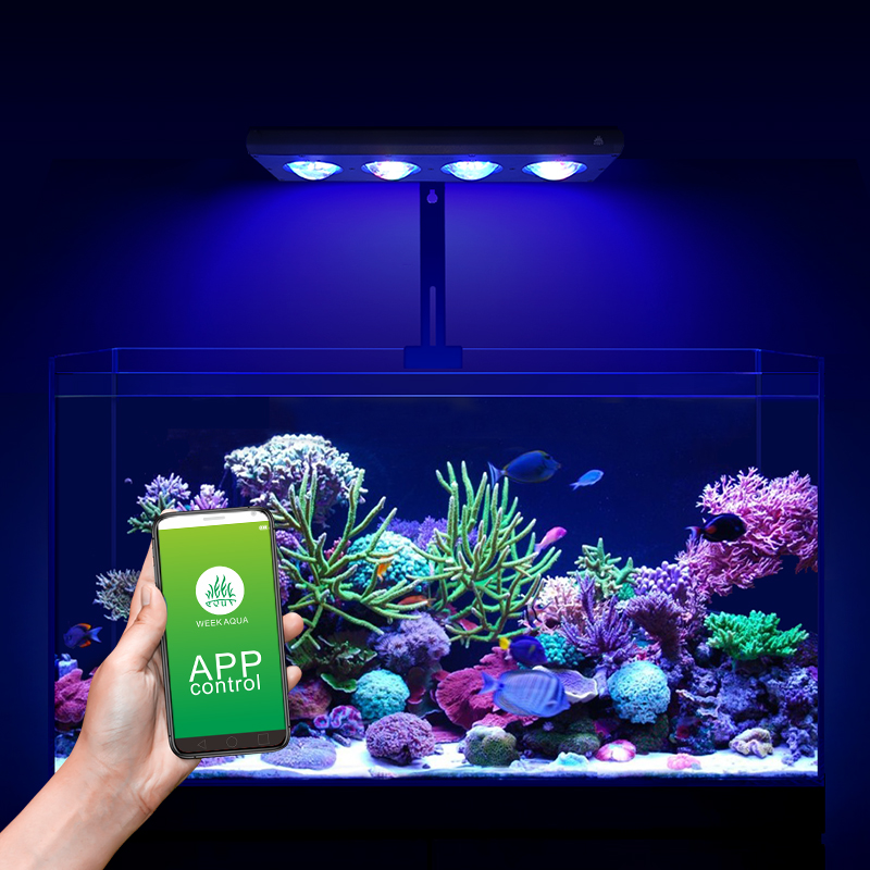 ZXY Hot Sale WEEKAQUA Z250 Z40 - Aquarium Marine Blue avis et prix