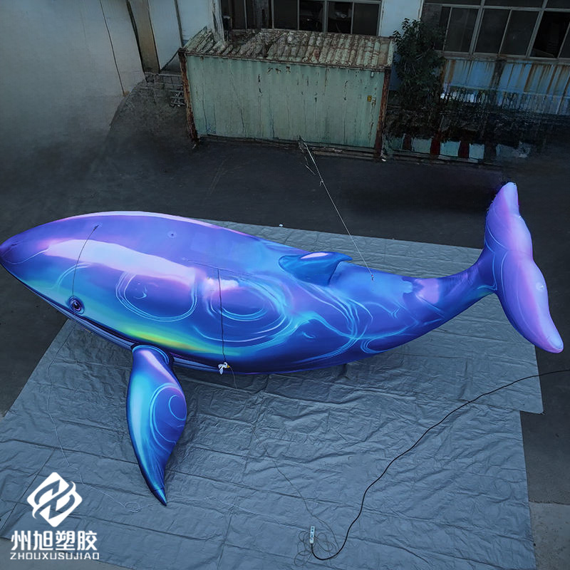 Inflatable blue whale, used as - Marine Aquarium Used avis et prix