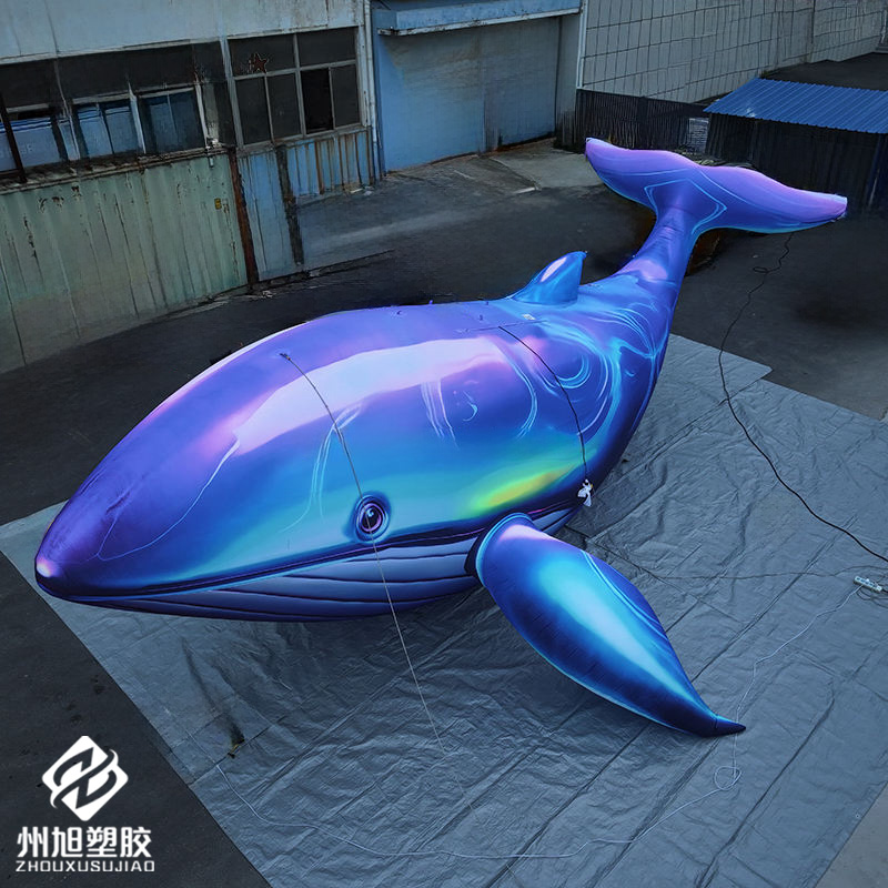 Inflatable blue whale, used as - Marine Aquarium Used avis et prix