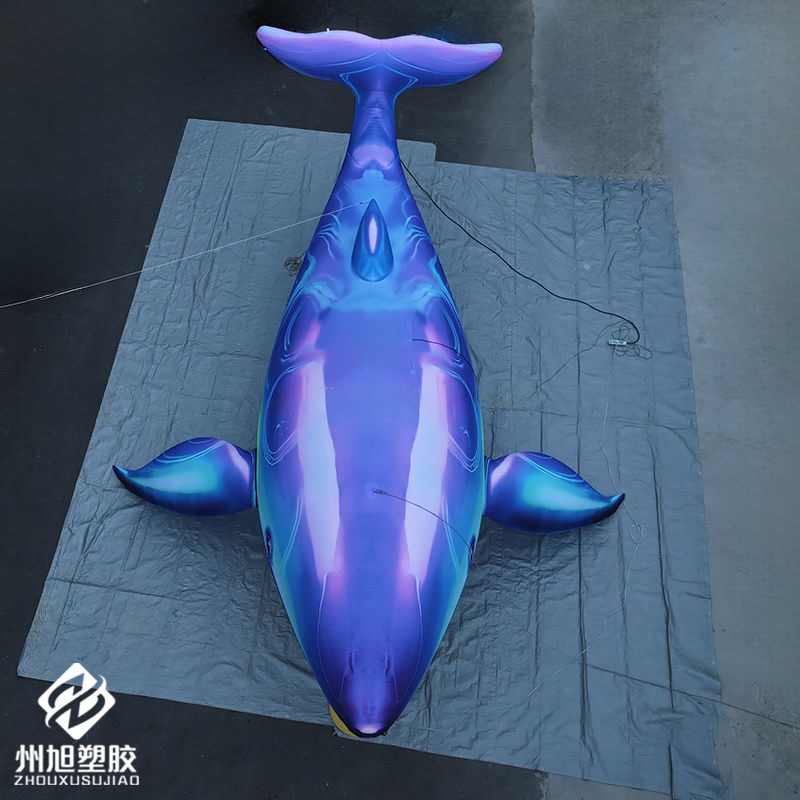 Inflatable blue whale, used as - Marine Aquarium Used avis et prix