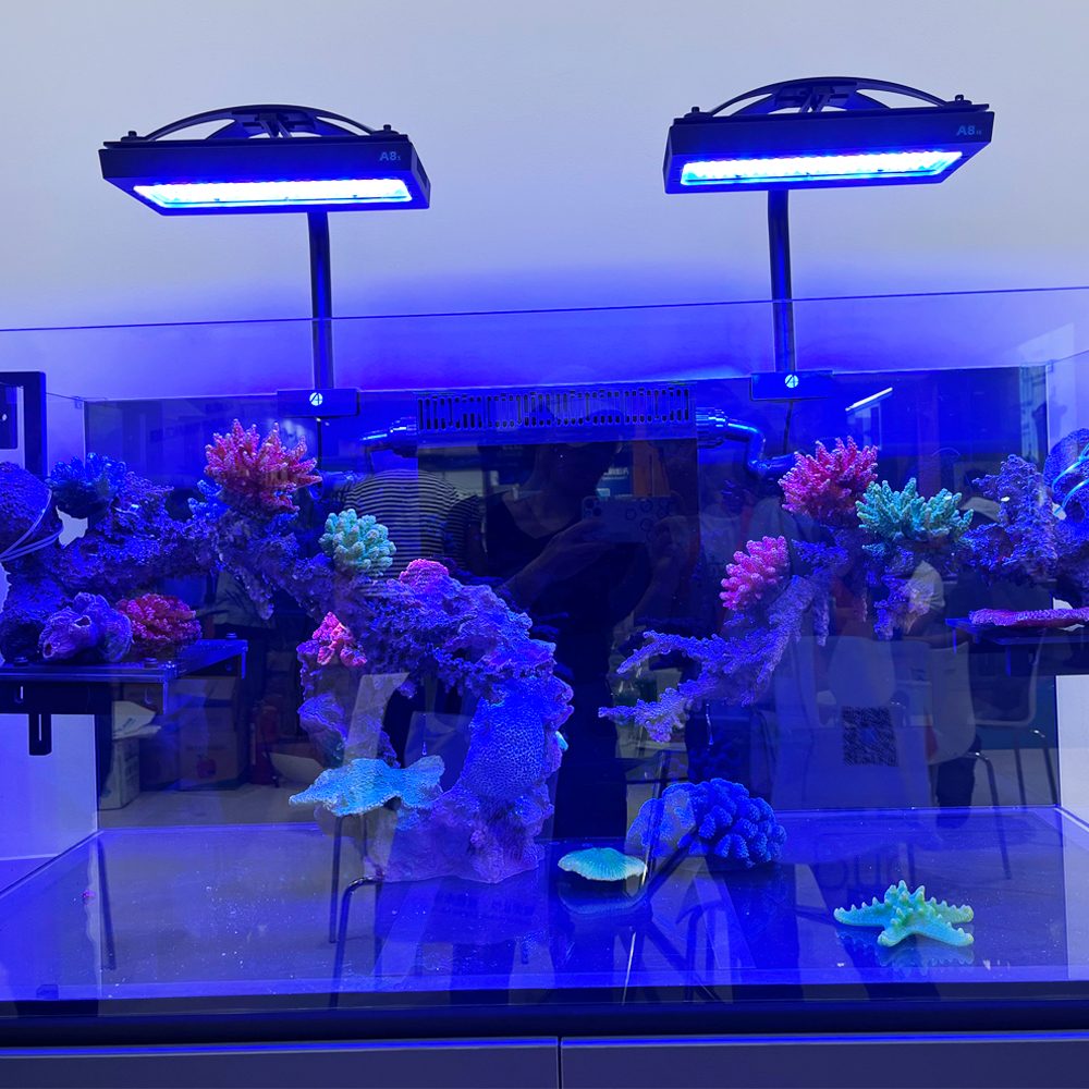240W A8se II Max Blue Marine A - Aquarium Marine Blue avis et prix