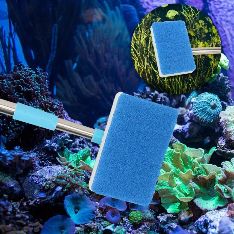 55-95cm Telescopic Handle 180° - Marine Aquarium Glass Cleaner avis et prix