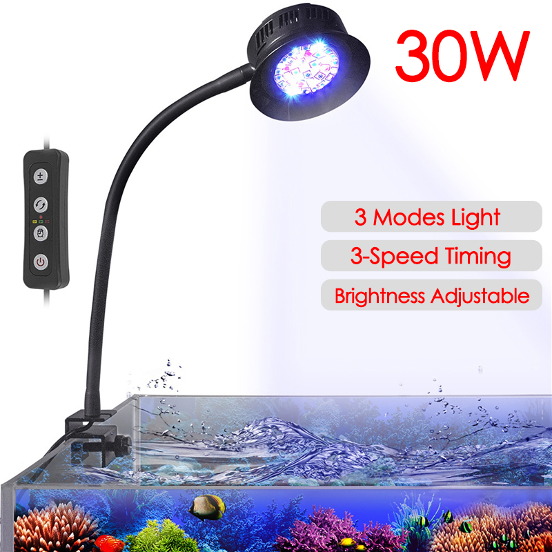 30W Aquarium Fish Tank Sea Wat - Marine Aquarium Aquascape avis et prix