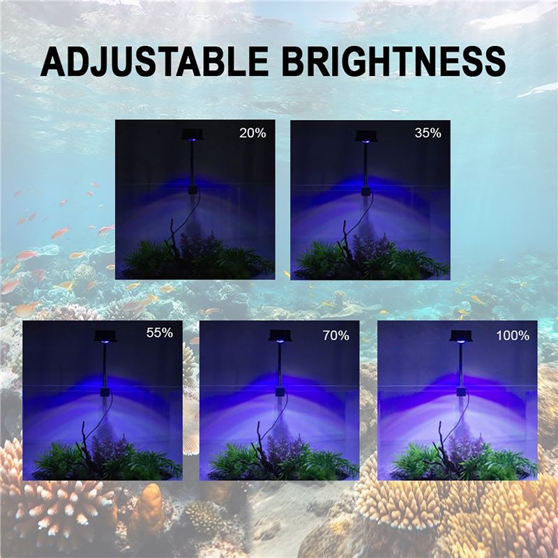 30W Aquarium Fish Tank Sea Wat - Marine Aquarium Aquascape avis et prix