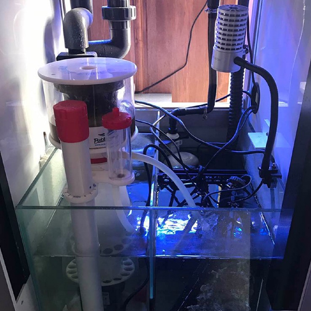220V Bubble Magus Curve5 Aquar - Marine Aquarium Aquascape avis et prix
