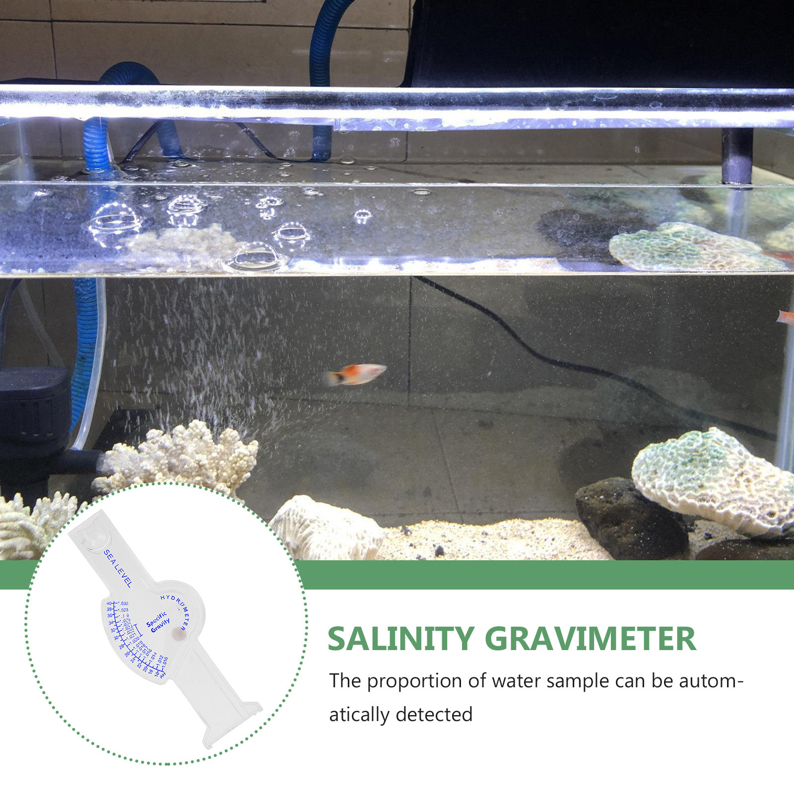Professional Salt Water Gravim - Marine Aquarium Temperature avis et prix
