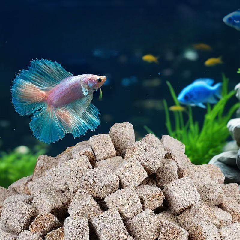 Natural Freeze Dried Bloodworm - Marine Aquarium Cube avis et prix