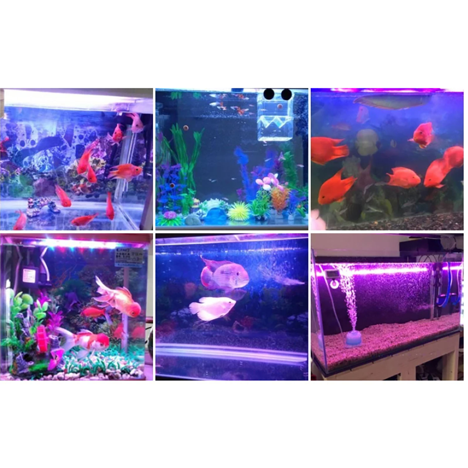 50W 60W 70W 100W RGB 26-28V Hi - Aquarium Marine Color avis et prix
