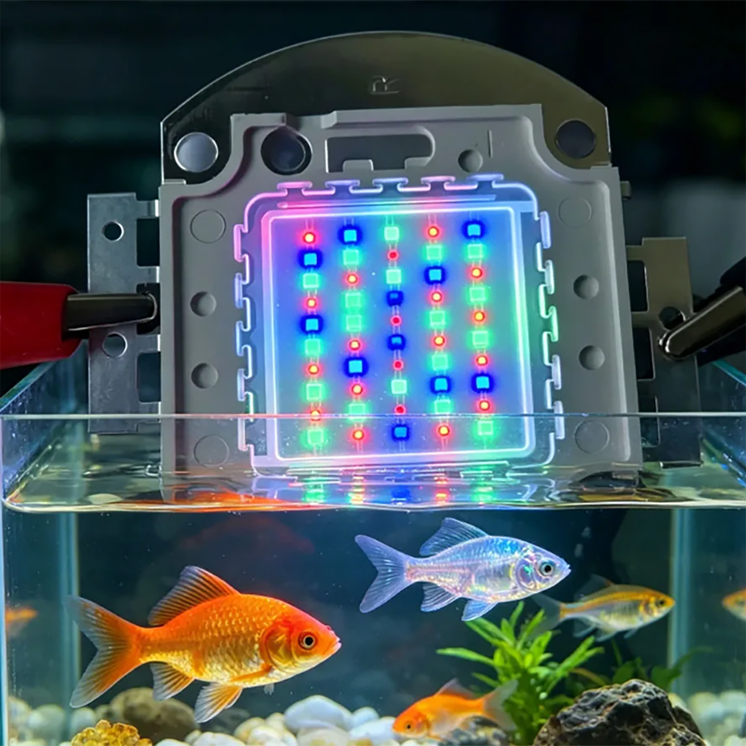 50W 60W 70W 100W RGB 26-28V Hi - Aquarium Marine Color avis et prix