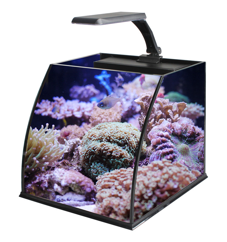 Ultra Clear Glass Mini Salt Wa - Marine Aquarium Cube avis et prix