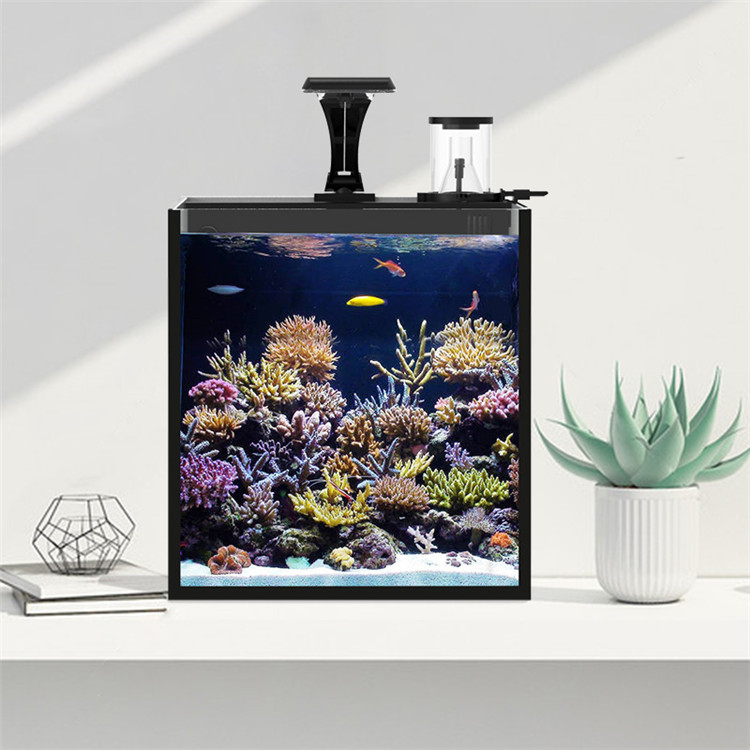 Ultra Clear Glass Mini Salt Wa - Marine Aquarium Cube avis et prix