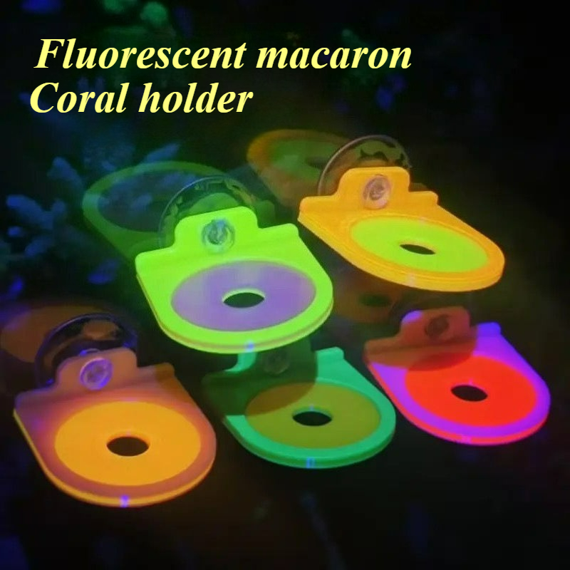 Color Random Coral Frag Holder - Aquarium Marine Color avis et prix