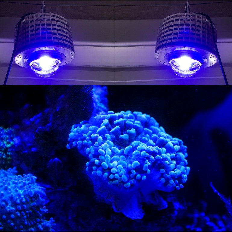 LED Aquarium Lighting Full Spe - Aquarium Marine Color avis et prix