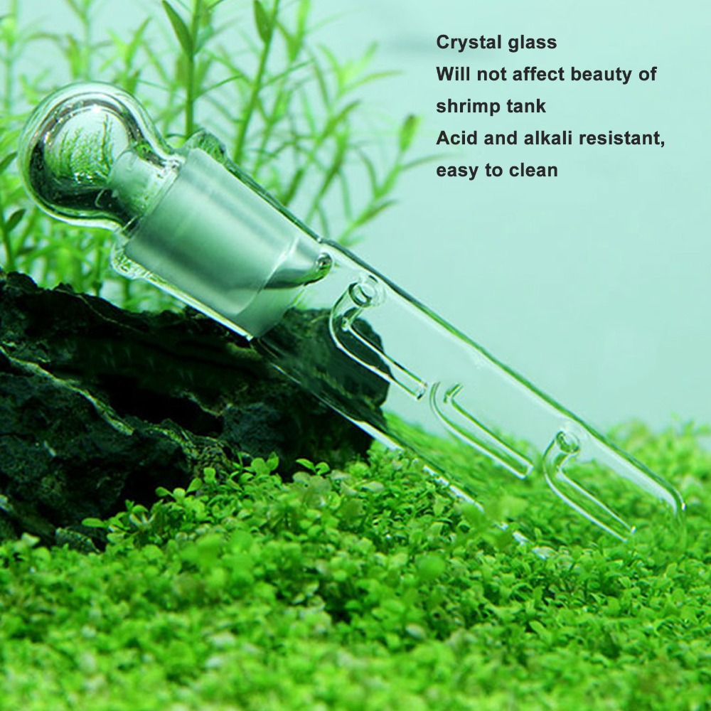 3pcs Easy to Use Transparent P - Marine Aquarium Glass Cleaner avis et prix