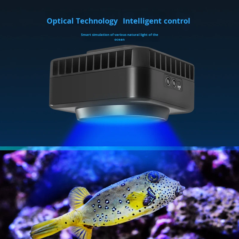 Jebao GSQ Smart Marine Coral L - Aquarium Marine Color avis et prix